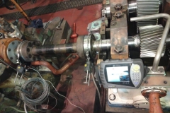 dunamis-corporate-worksWhatsApp-Image-2024-03-12-at-22.43.34